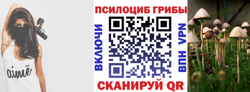 mega зеркало  Краснослободск  Псилоцибиновые грибы мицелий 