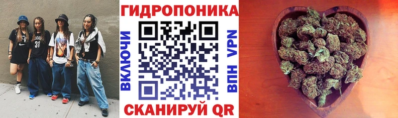 Каннабис сатива Краснослободск